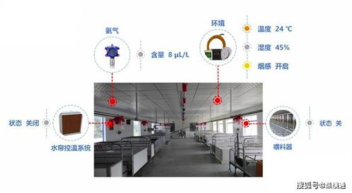 生豬養(yǎng)殖場的智能監(jiān)控與控制系統(tǒng)集成應(yīng)用探討